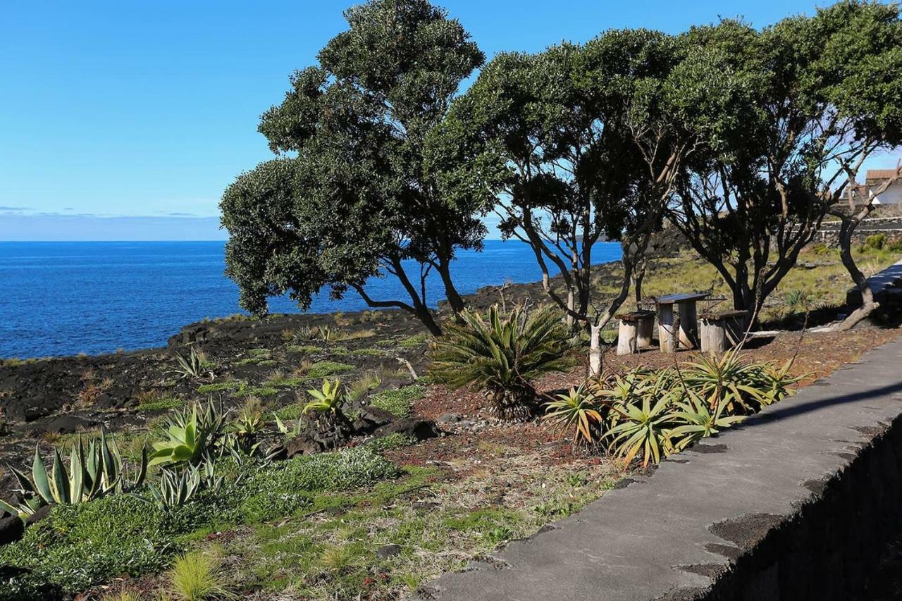 Maison d'hôtes Casa D'Avo Francisco à Madalena  Extérieur photo